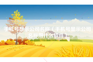 手机号显示公司名称（手机号显示公司名称用什么软件）
