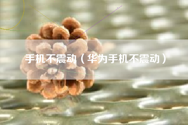 手机不震动（华为手机不震动）