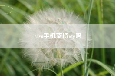 vivo手机支持otg吗