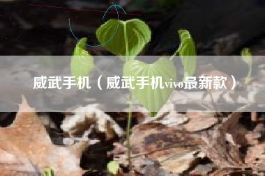 威武手机（威武手机vivo最新款）
