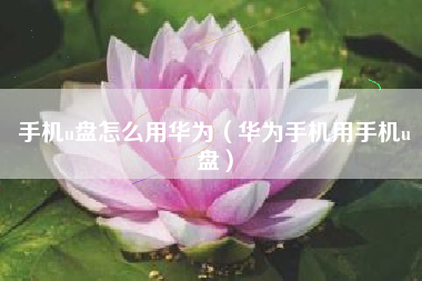 手机u盘怎么用华为（华为手机用手机u盘）