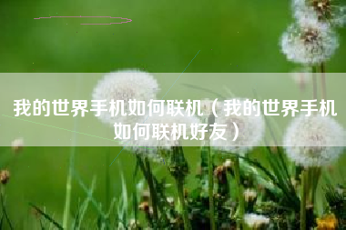 我的世界手机如何联机（我的世界手机如何联机好友）