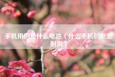 手机用的是什么电池（什么手机的电池耐用）