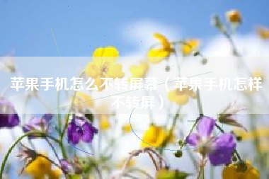 苹果手机怎么不转屏幕（苹果手机怎样不转屏）