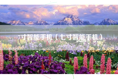7寸智能手机（七寸智能手机）