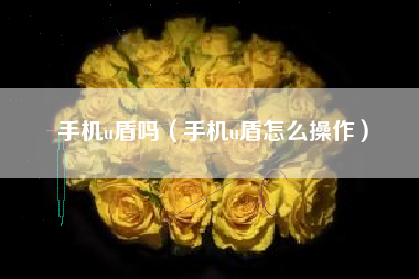 手机u盾吗（手机u盾怎么操作）