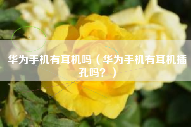华为手机有耳机吗（华为手机有耳机插孔吗？）