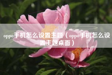 oppo手机怎么设置主题（oppo手机怎么设置主题桌面）