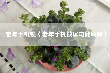 老年手机锁（老年手机锁屏功能解除）