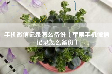 手机微信记录怎么备份（苹果手机微信记录怎么备份）