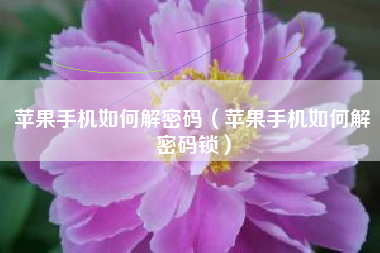 苹果手机如何解密码（苹果手机如何解密码锁）