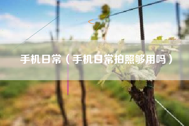 手机日常（手机日常拍照够用吗）