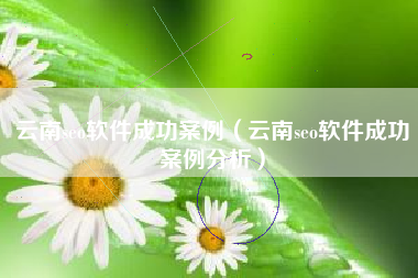 云南seo软件成功案例（云南seo软件成功案例分析）