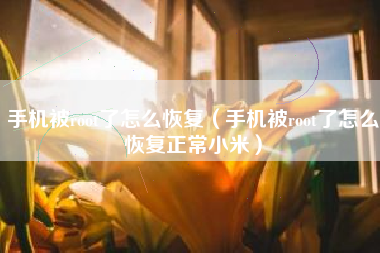 手机被root了怎么恢复（手机被root了怎么恢复正常小米）