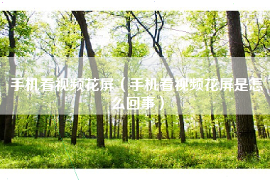 手机看视频花屏（手机看视频花屏是怎么回事）