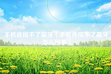 手机连接不了蓝牙（手机连接不了蓝牙怎么回事）