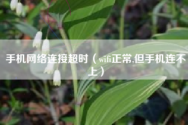 手机网络连接超时（wifi正常,但手机连不上）
