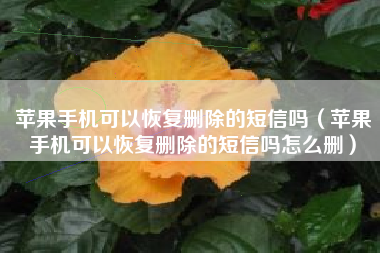 苹果手机可以恢复删除的短信吗（苹果手机可以恢复删除的短信吗怎么删）