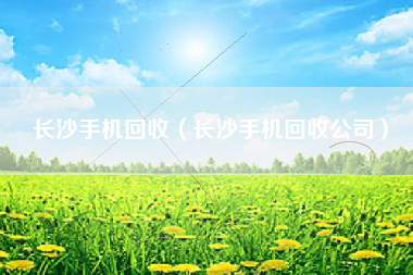 长沙手机回收（长沙手机回收公司）