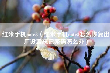 红米手机note3（红米手机note3怎么恢复出厂设置忘记密码怎么办）