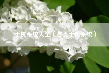 手机系统大全（各类手机系统）