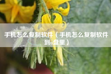 手机怎么复制软件（手机怎么复制软件到u盘里）