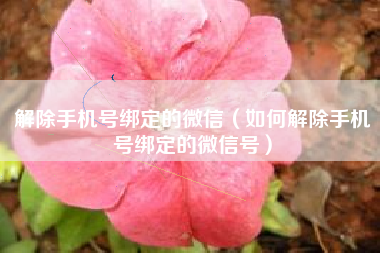 解除手机号绑定的微信（如何解除手机号绑定的微信号）
