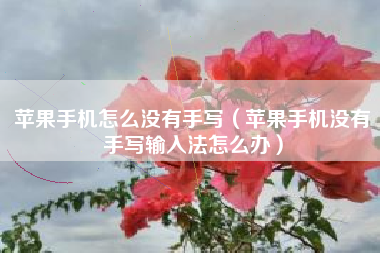 苹果手机怎么没有手写（苹果手机没有手写输入法怎么办）