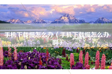 手机下载慢怎么办（手机下载慢怎么办啊）