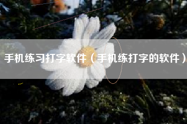 手机练习打字软件（手机练打字的软件）