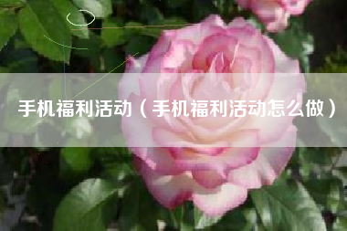 手机福利活动（手机福利活动怎么做）