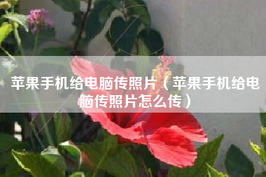 苹果手机给电脑传照片（苹果手机给电脑传照片怎么传）