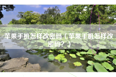 苹果手机怎样改密码（苹果手机怎样改密码？）