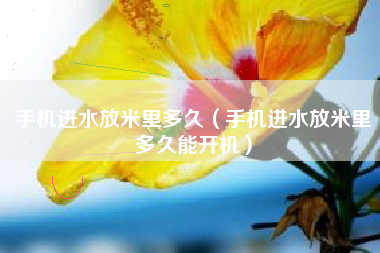 手机进水放米里多久（手机进水放米里多久能开机）