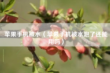 苹果手机被水（苹果手机被水泡了还能用吗）