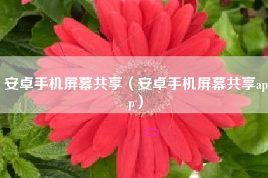 安卓手机屏幕共享（安卓手机屏幕共享app）