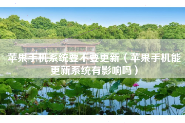 苹果手机系统要不要更新（苹果手机能更新系统有影响吗）