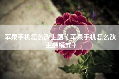 苹果手机怎么改主题（苹果手机怎么改主题模式）