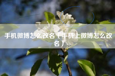 手机微博怎么改名（手机上微博怎么改名）