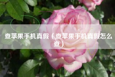 查苹果手机真假（查苹果手机真假怎么查）