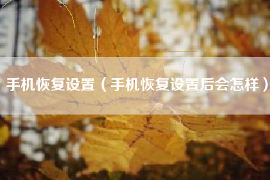 手机恢复设置（手机恢复设置后会怎样）