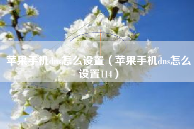 苹果手机dns怎么设置（苹果手机dns怎么设置114）