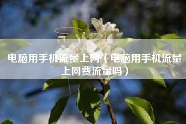 电脑用手机流量上网（电脑用手机流量上网费流量吗）