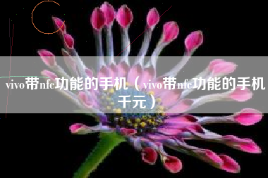 vivo带nfc功能的手机（vivo带nfc功能的手机千元）