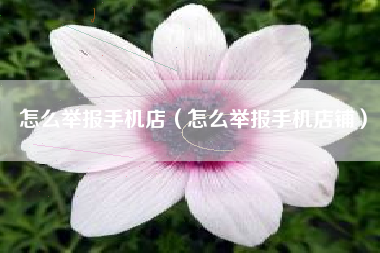 怎么举报手机店（怎么举报手机店铺）