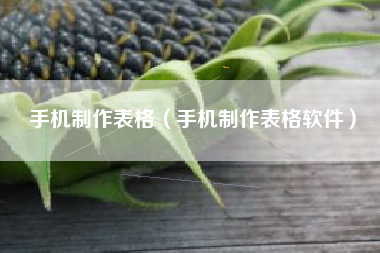 手机制作表格（手机制作表格软件）