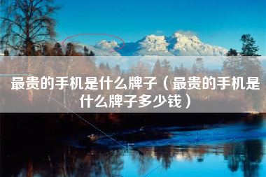 最贵的手机是什么牌子（最贵的手机是什么牌子多少钱）
