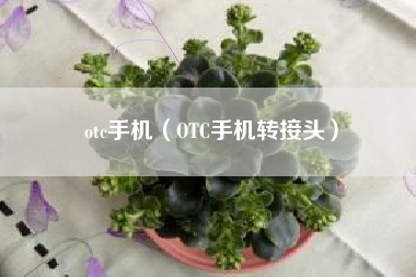 otc手机（OTC手机转接头）