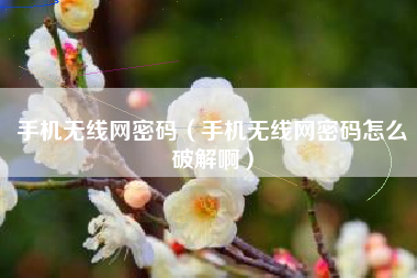 手机无线网密码（手机无线网密码怎么破解啊）