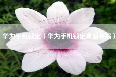 华为手机锁定（华为手机锁定桌面布局）